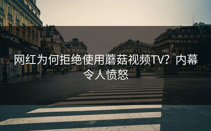 网红为何拒绝使用蘑菇视频TV？内幕令人愤怒