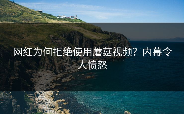 网红为何拒绝使用蘑菇视频？内幕令人愤怒