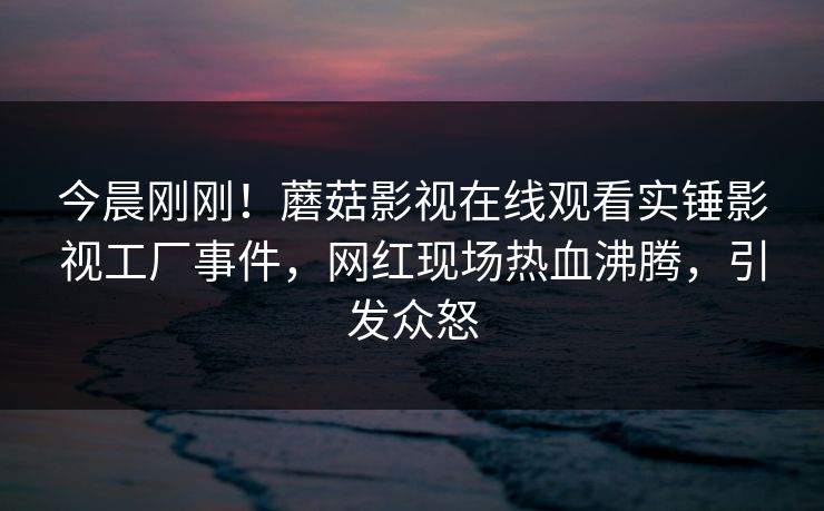 今晨刚刚！蘑菇影视在线观看实锤影视工厂事件，网红现场热血沸腾，引发众怒