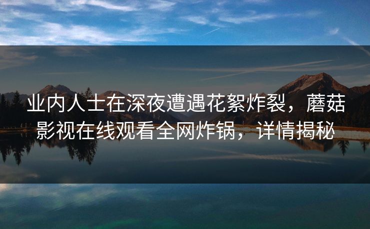 业内人士在深夜遭遇花絮炸裂，蘑菇影视在线观看全网炸锅，详情揭秘