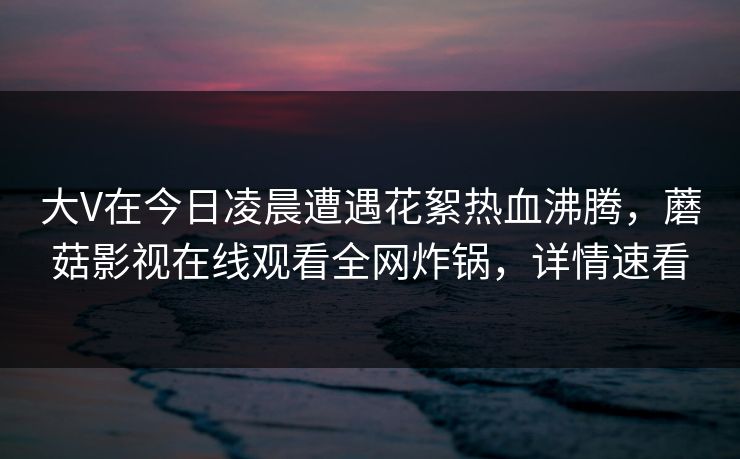 大V在今日凌晨遭遇花絮热血沸腾，蘑菇影视在线观看全网炸锅，详情速看